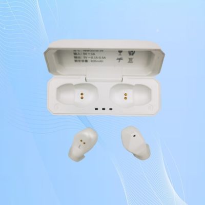 FDA Kablosuz İşitme Aletleri 113DB Itc Şarj edilebilir İşitme Aletleri
